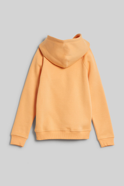 MELEGÍTŐ FELSŐ GANT ARCHIVE SHIELD RAGLAN HOODIE - Kép 3