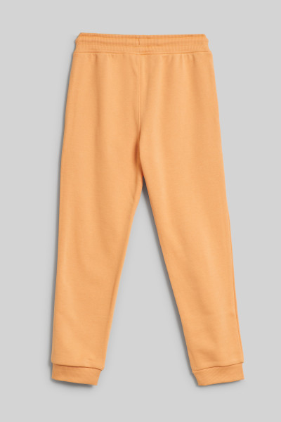 TEPLÁKY GANT SHIELD SWEATPANTS - Fotografia č. 2