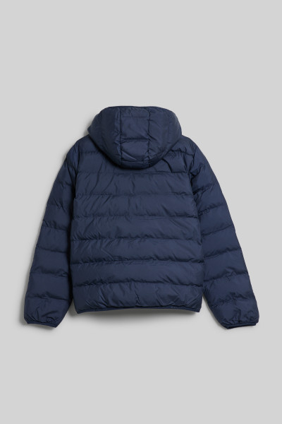 DZSEKI GANT LIGHT PADDED SHIELD JACKET - Kép 2