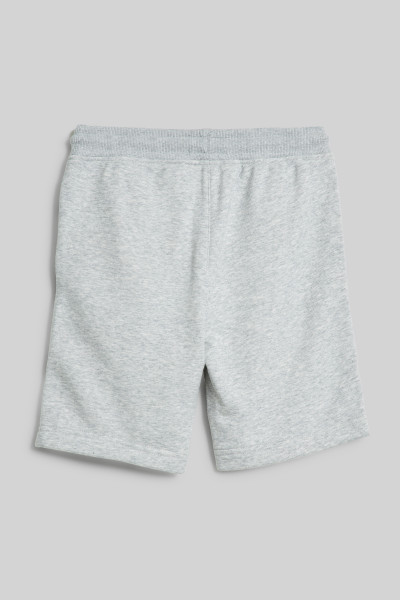 TEPLÁKOVÉ ŠORTKY GANT SHIELD SWEATSHORTS - Fotografie č. 2