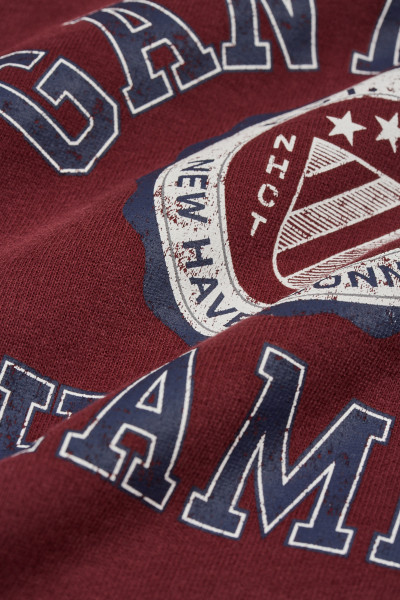 MIKINA GANT 1949 RAGLAN C-NECK - Fotografia č. 3