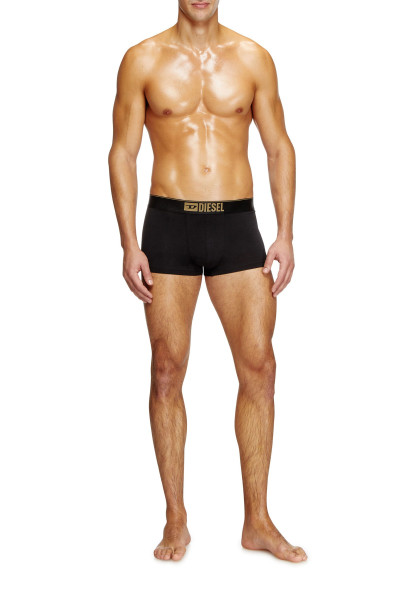 SPODNÍ PRÁDLO DIESEL DAMIEN-GFT-3PACK BOXER-SHORTS - Fotografie č. 2