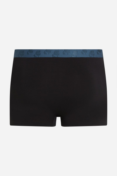 ALSÓNEMŰ KARL LAGERFELD KAMEO LOGO TRUNK SET - Kép 7