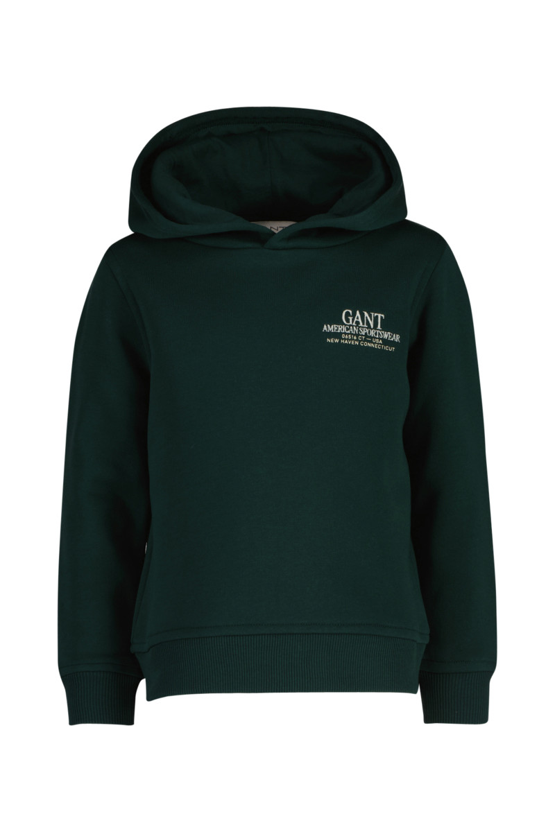 MIKINA GANT GRAPHIC HOODIE TARTAN GREEN