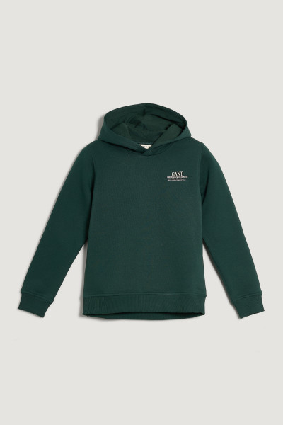 MIKINA GANT GRAPHIC HOODIE - Fotografia č. 1