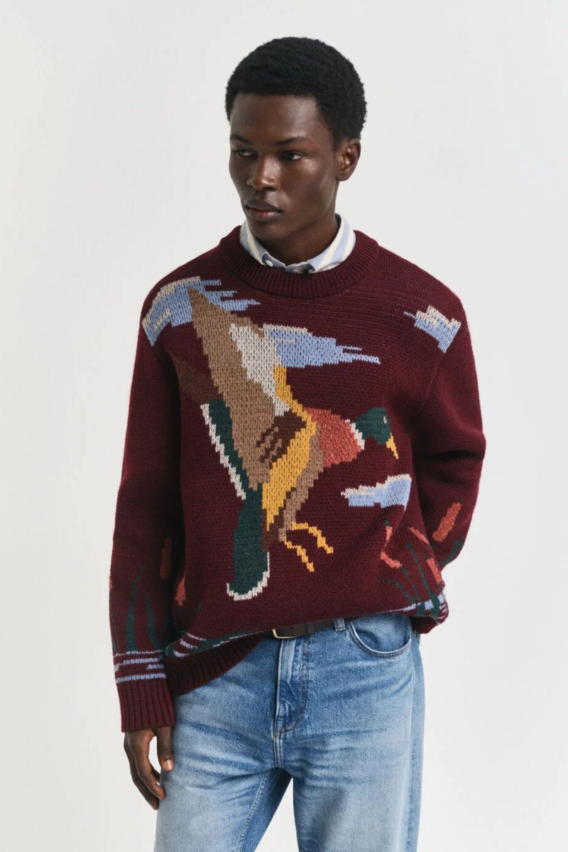 SVETR GANT BIRD GRAPHIC C-NECK PLUMPED RED