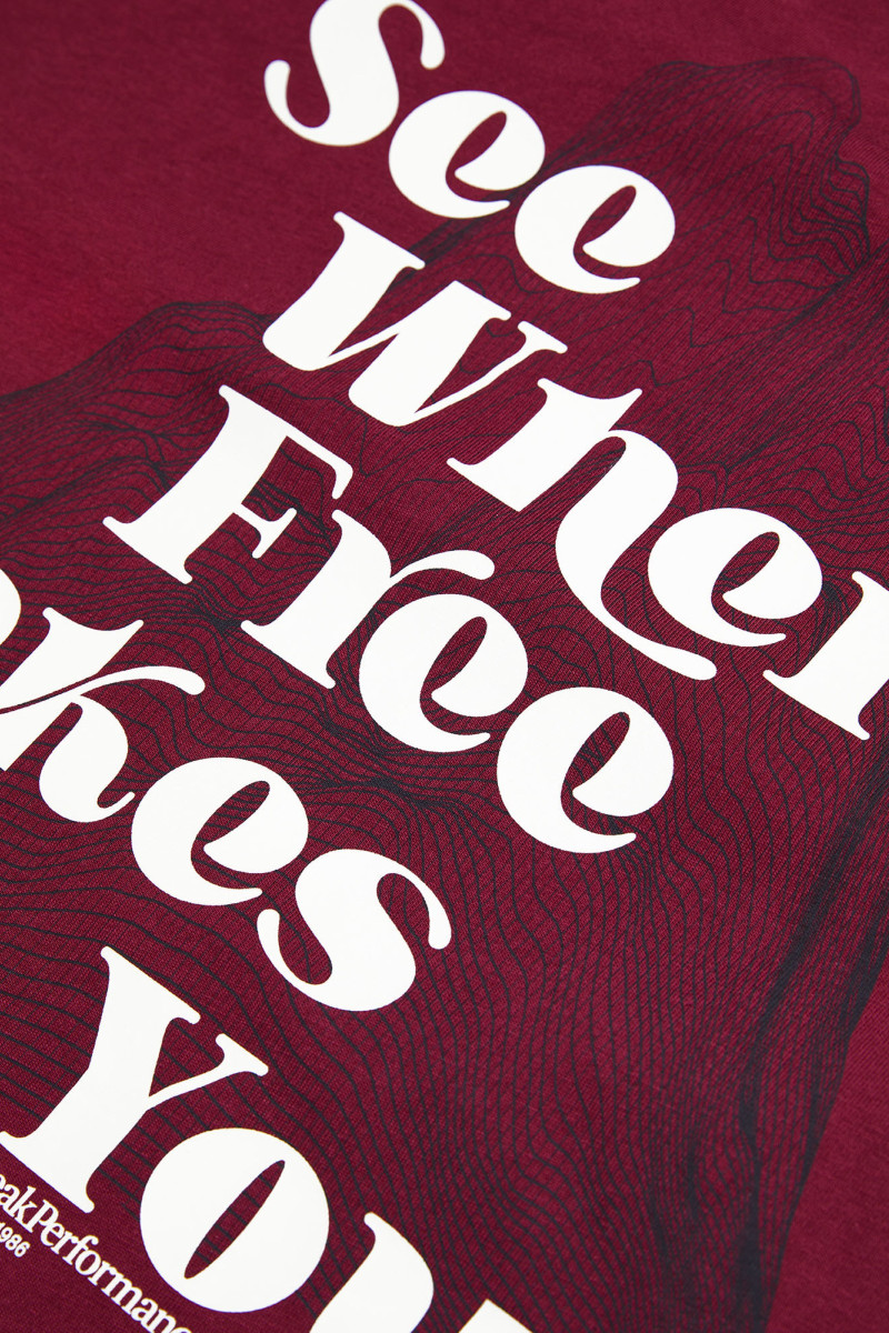 Tričko Peak Performance W Graphic Tee Vertical Zenith