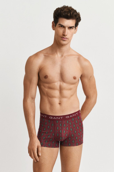 ALSÓNEMŰ GANT PAISLEY PRINT TRUNK 3-PACK GB - Kép 2