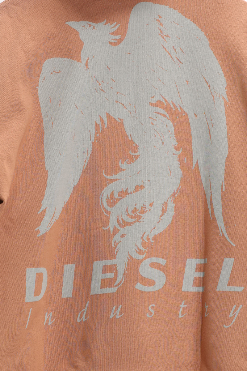 Mikina Diesel S-Macs-Hood-V3 Sweat-Shirt Mocha Mousse