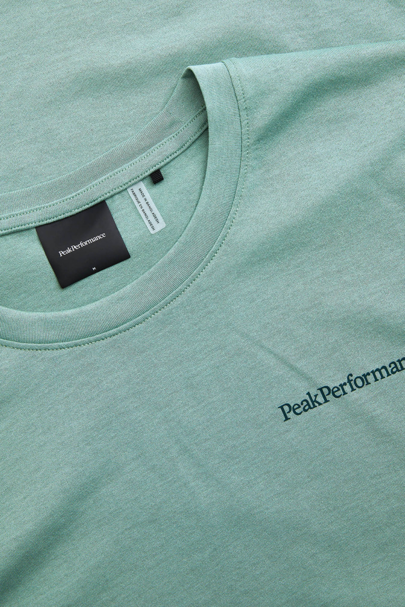 Tričko Peak Performance Explore Logo Tee Men Green Valley/Ponderosa Pine