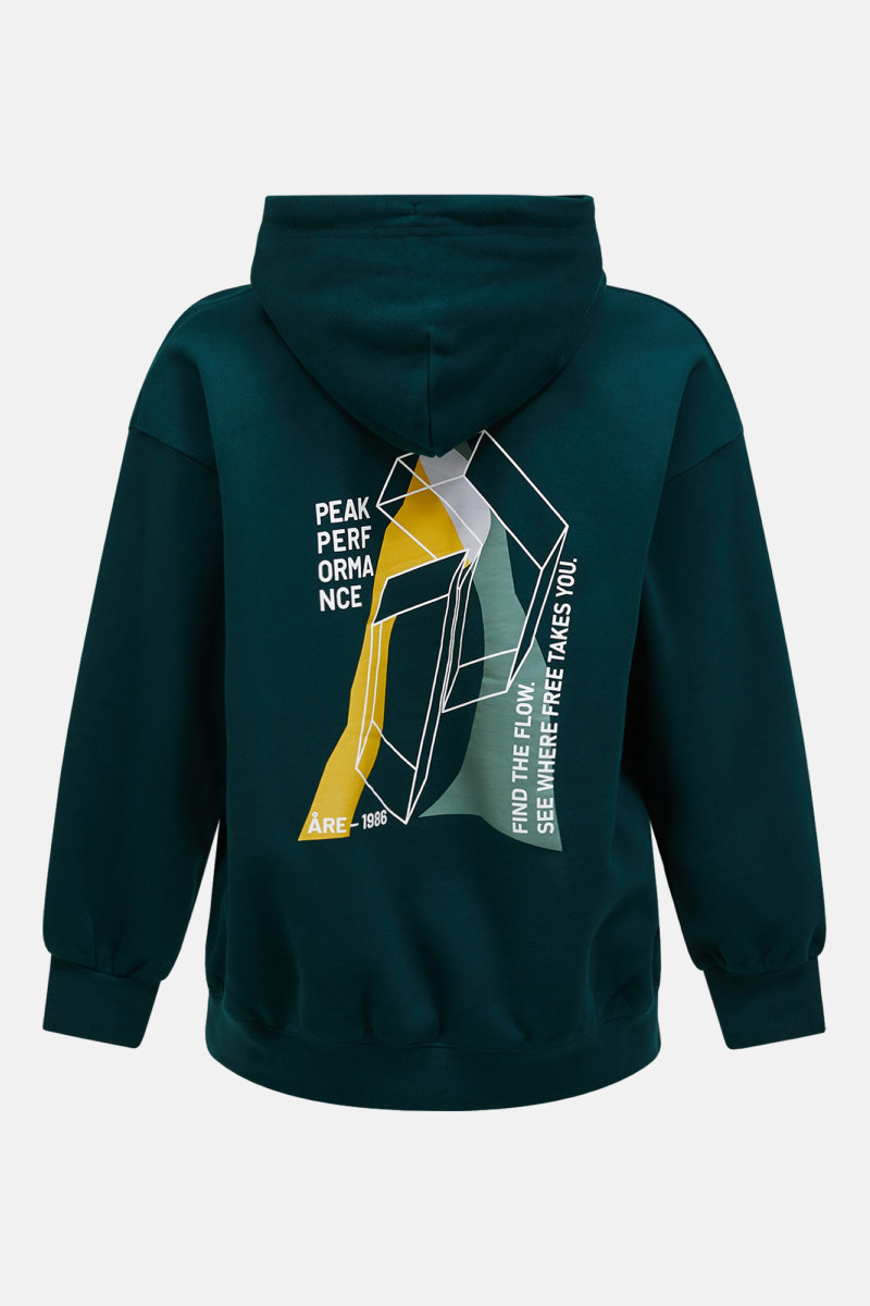 Mikina Peak Performance M Terry Graphic Hood Ponderosa Pine/Sand Fog