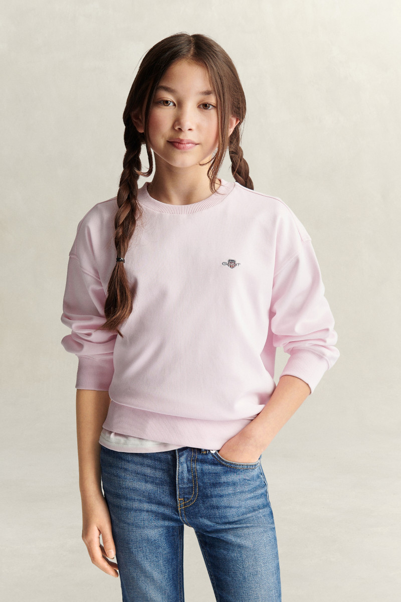 E-shop MIKINA GANT SHIELD OVERSIZE CREW NECK SWEATSHIRT LIGHT PINK