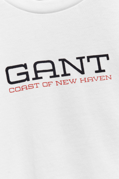 PÓLÓ GANT COASTAL GRAPHIC SS T-SHIRT - Kép 4