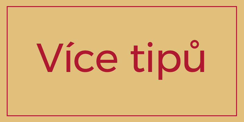 800x400_VMO_CZ_button_W_4