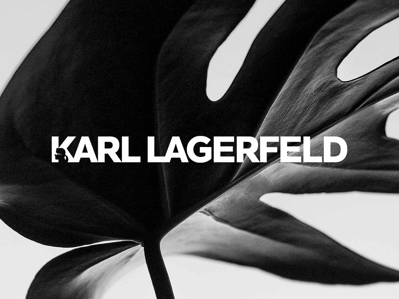 viber_image_2024-11-15_11-27-38-063