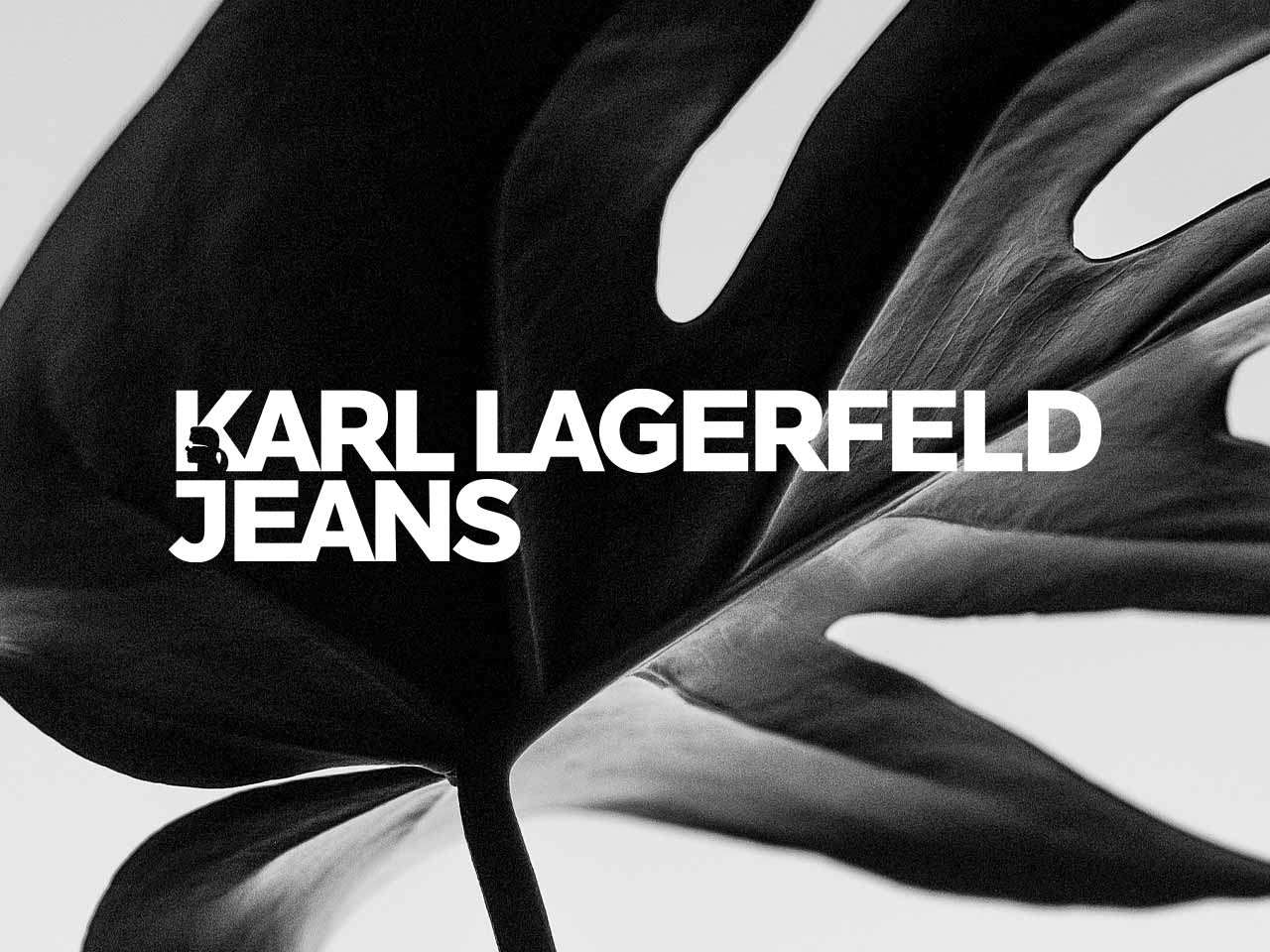 viber_image_2024-11-15_11-27-38-063