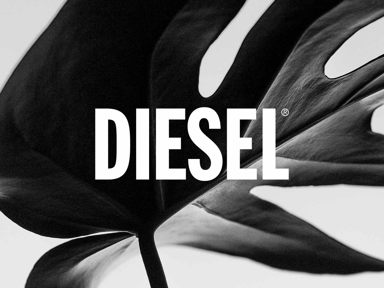 viber_image_2024-11-15_11-27-38-063